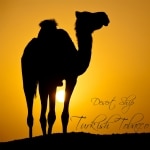 Корабель пустелі / Desert Ship (FlavourArt) 85 Корабель пустелі / Desert Ship (FlavourArt)