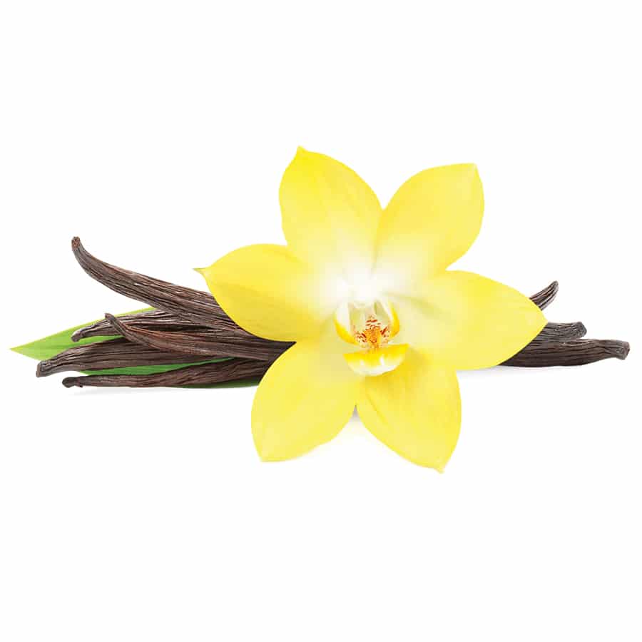 Французька ваніль / French Vanilla