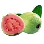 Гуаява / Guava (TPA) 21 Guava tfa