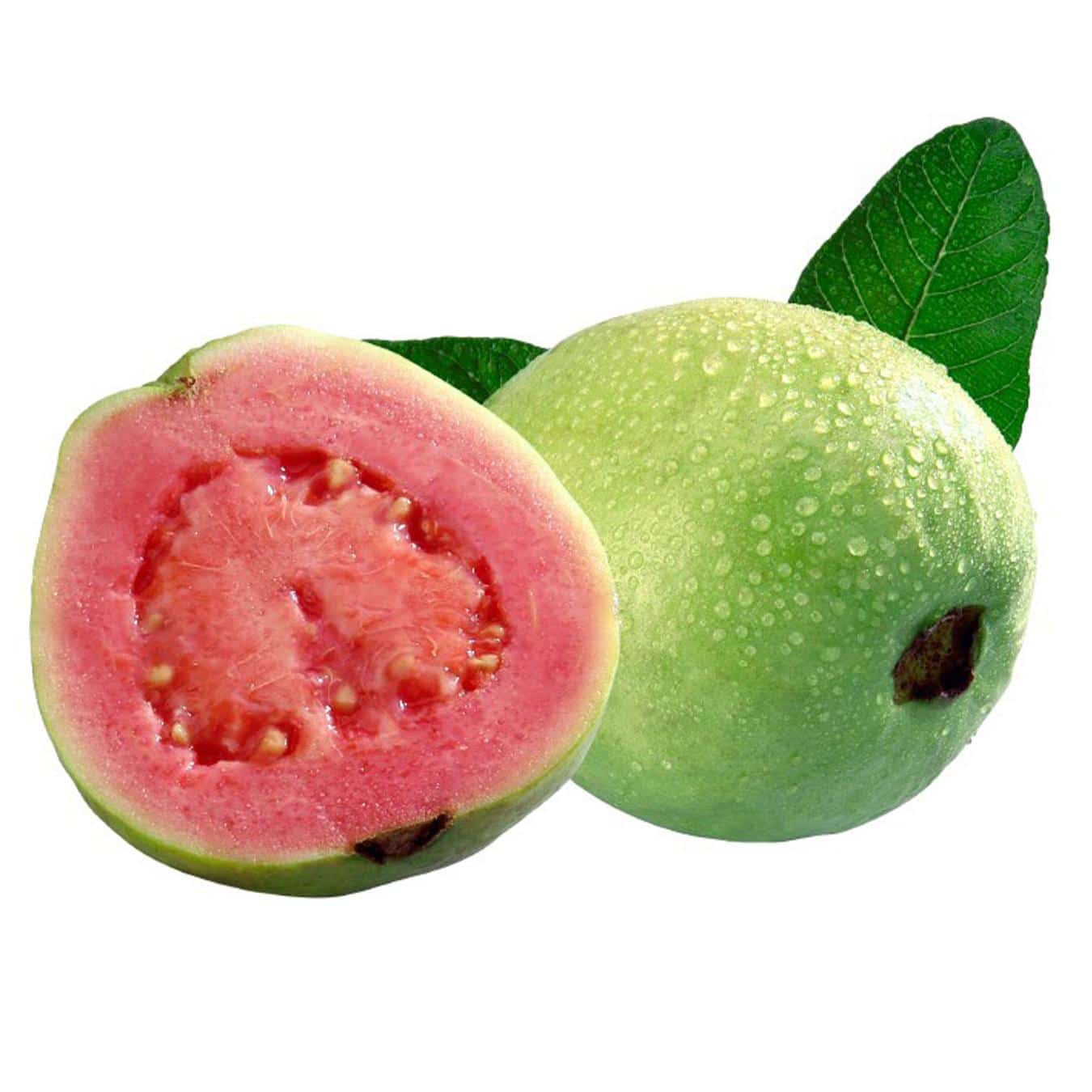 Guava tfa Guava tfa