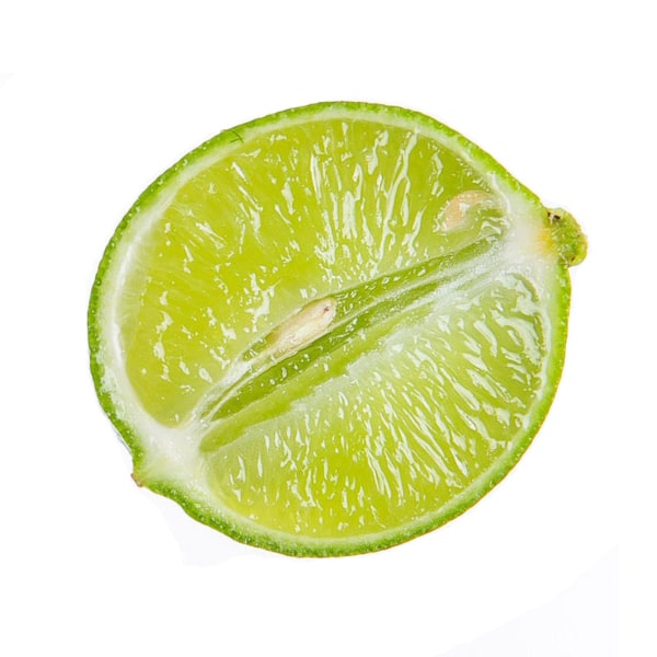 Key-Lime-tpa Key Lime tpa