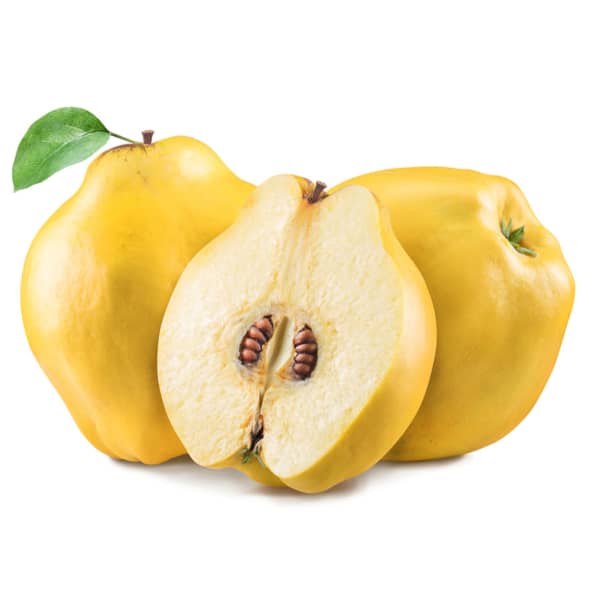 Quince Айва тпа Quince