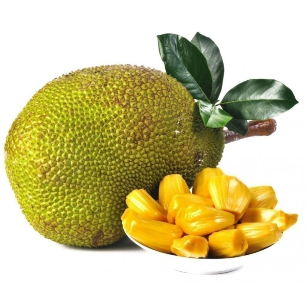jackfruit tpa джекфрут jackfruit tpa